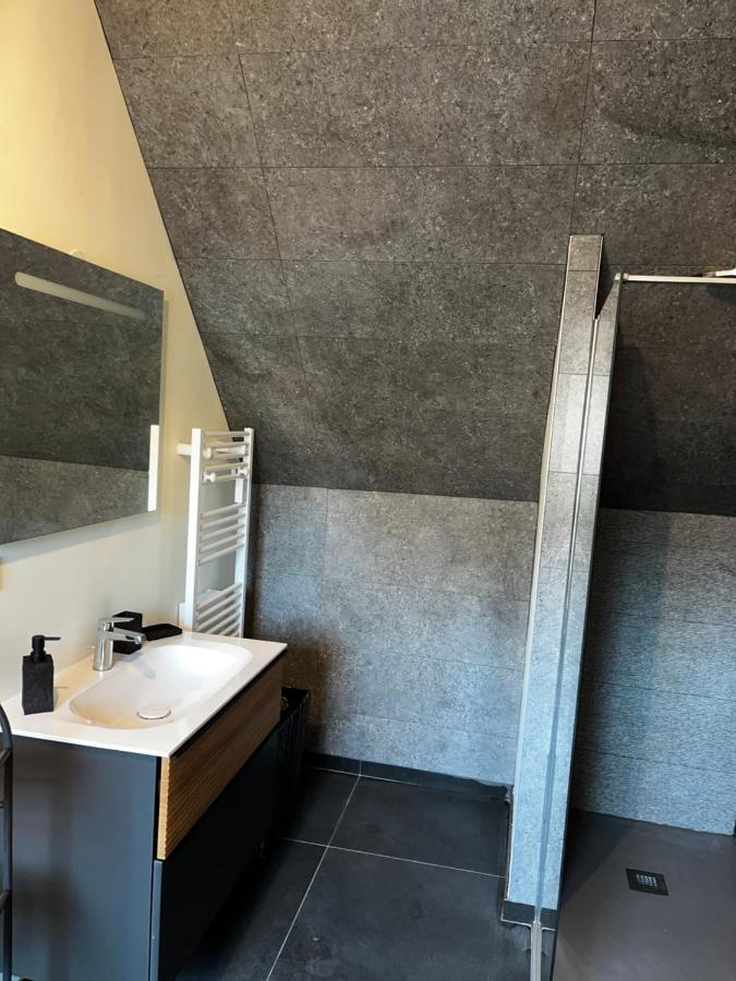 Magnifique Duplex Avec Jaccuzi, Sauna Et Cinema Room Privatif Fontenoy  Екстер'єр фото